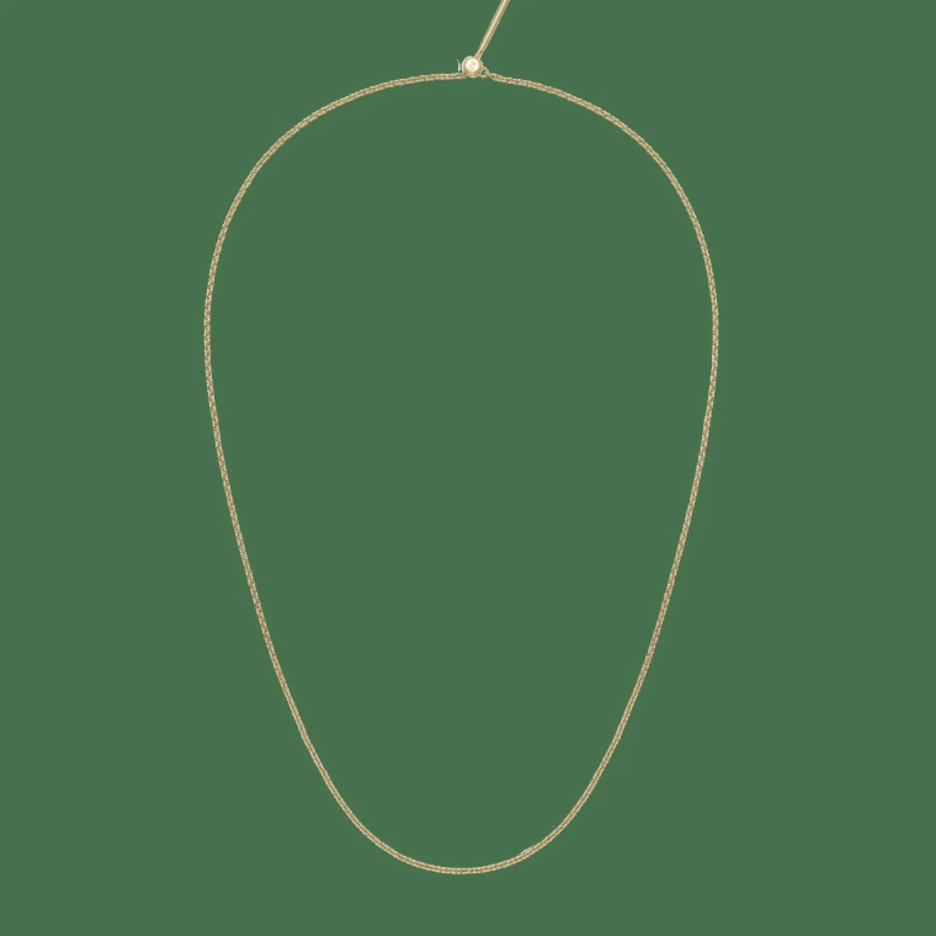 Daniel Wellington Charms Chain Necklace G> Collane | Ciondoli