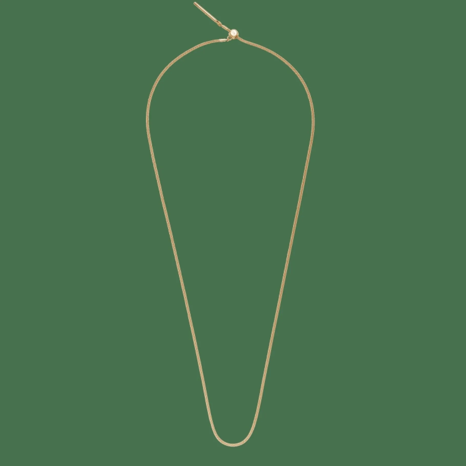 Daniel Wellington Charms Snake Bracelet G> Bracciali