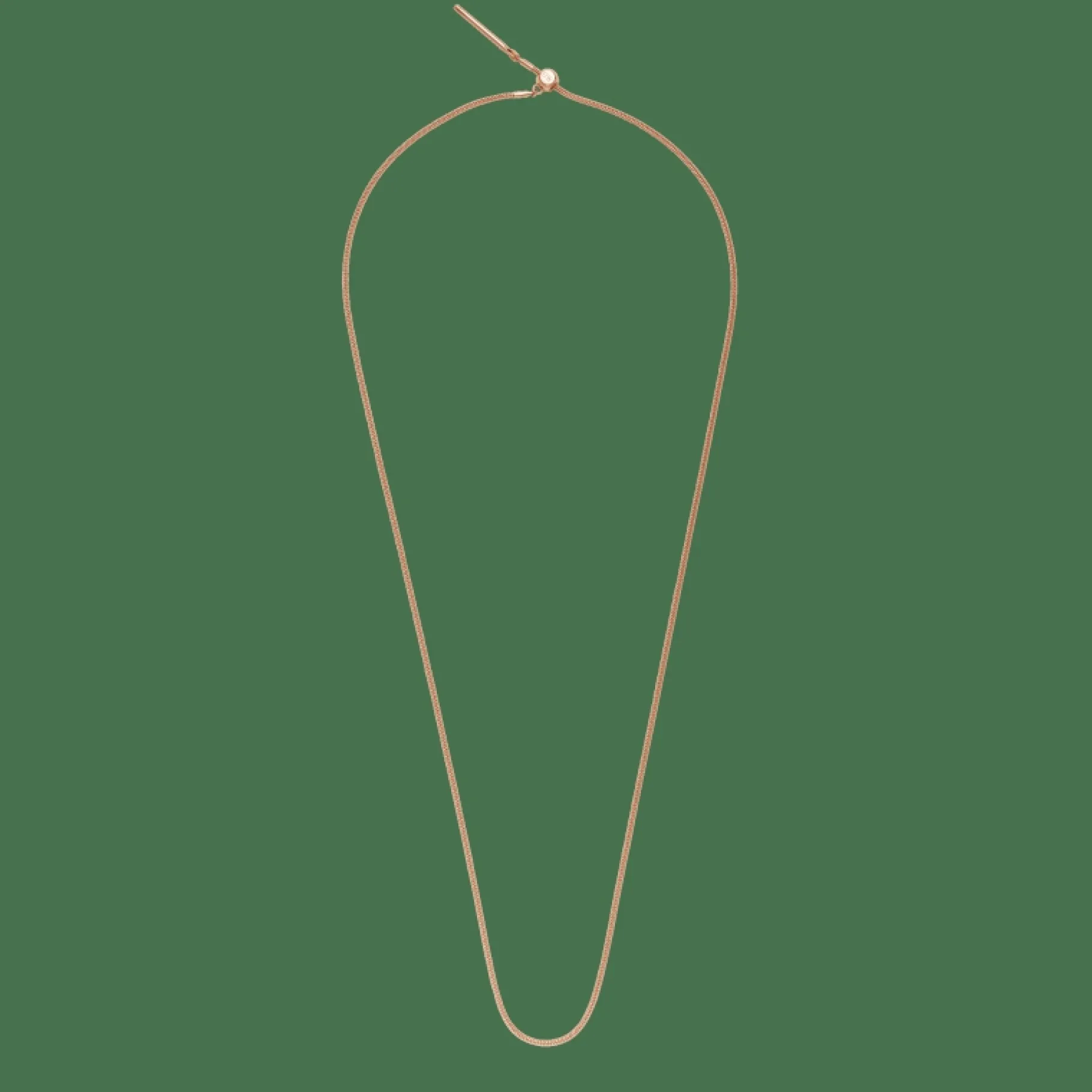 Daniel Wellington Charms Snake Bracelet RG> Bracciali