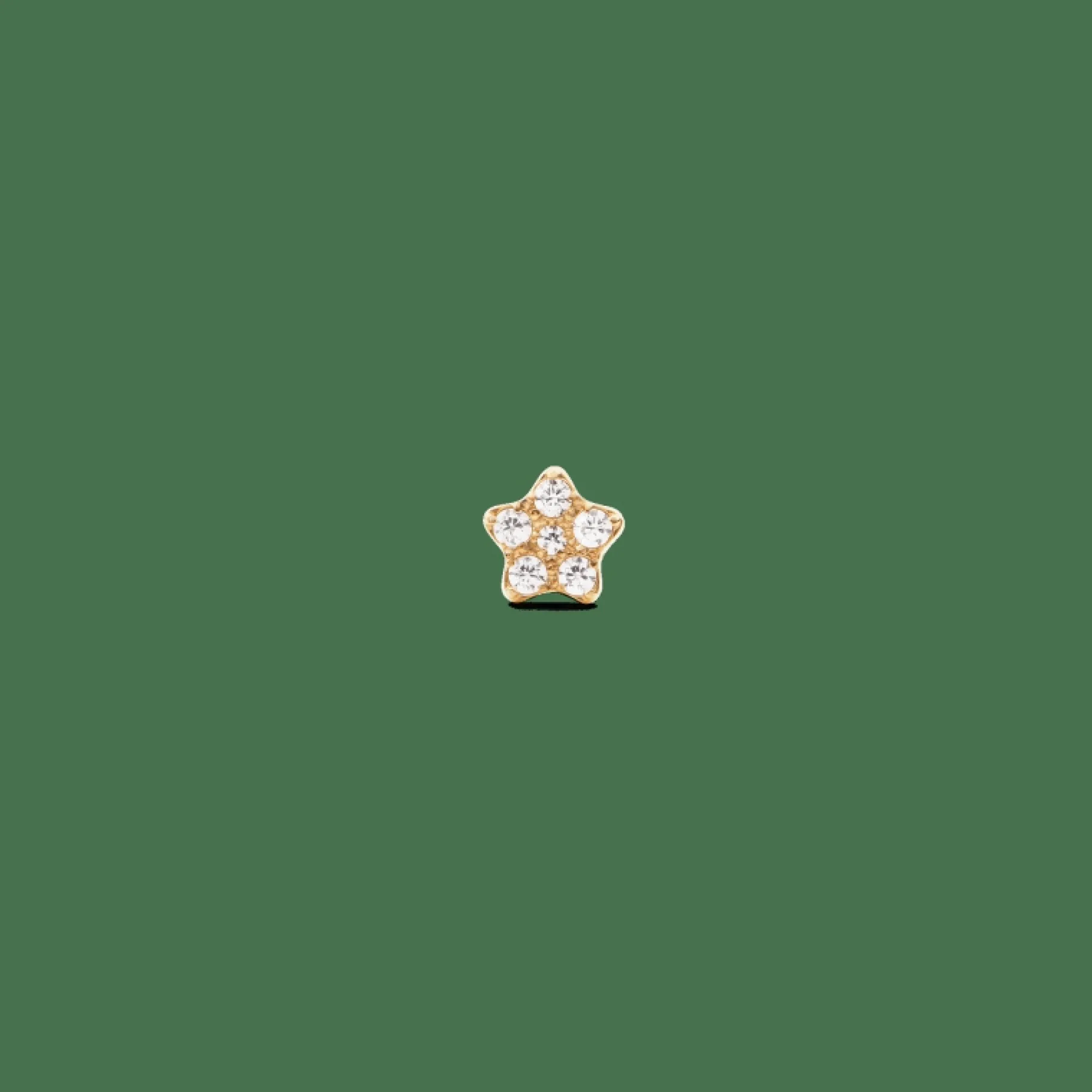 Daniel Wellington Crystal Star Stud> Orecchini
