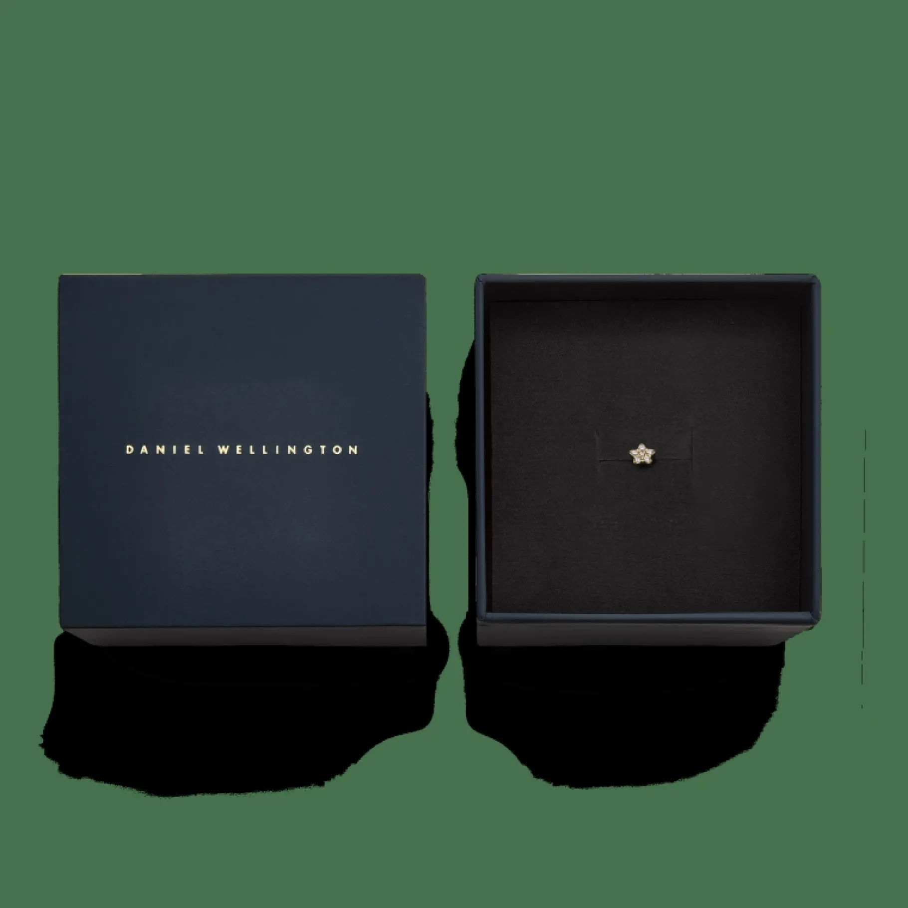 Daniel Wellington Crystal Star Stud> Orecchini