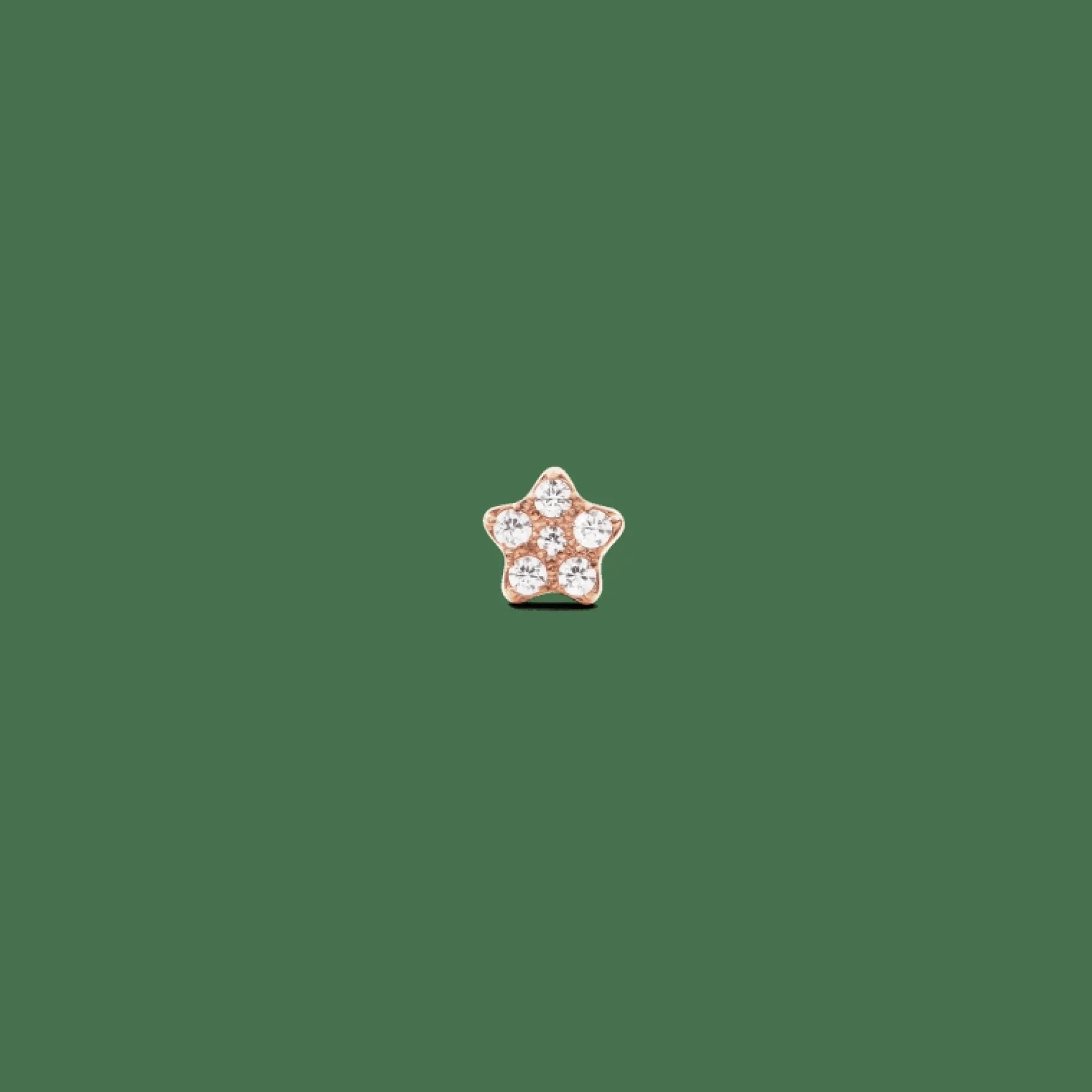 Daniel Wellington Crystal Star Stud> Orecchini