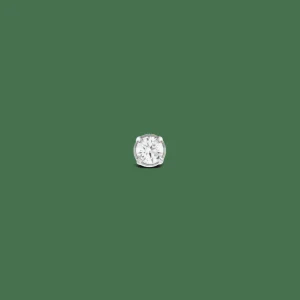 Daniel Wellington Crystal Stud> Orecchini