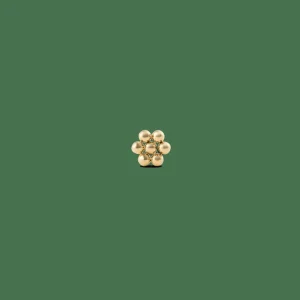 Daniel Wellington Flower Stud> Orecchini