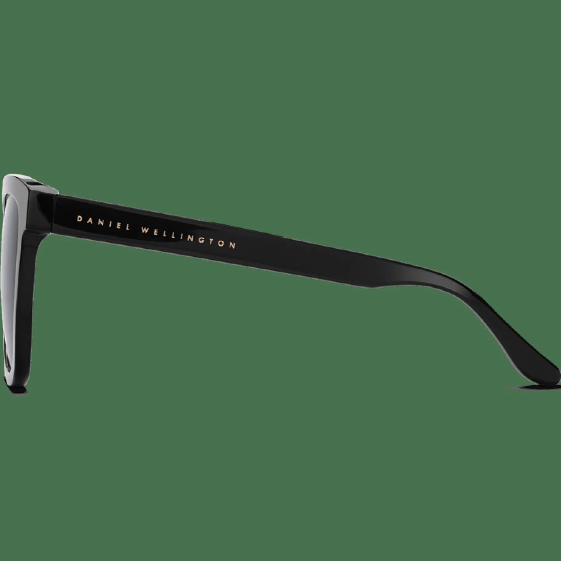 Daniel Wellington Grande Bio-Acetate> Occhiali Da Sole