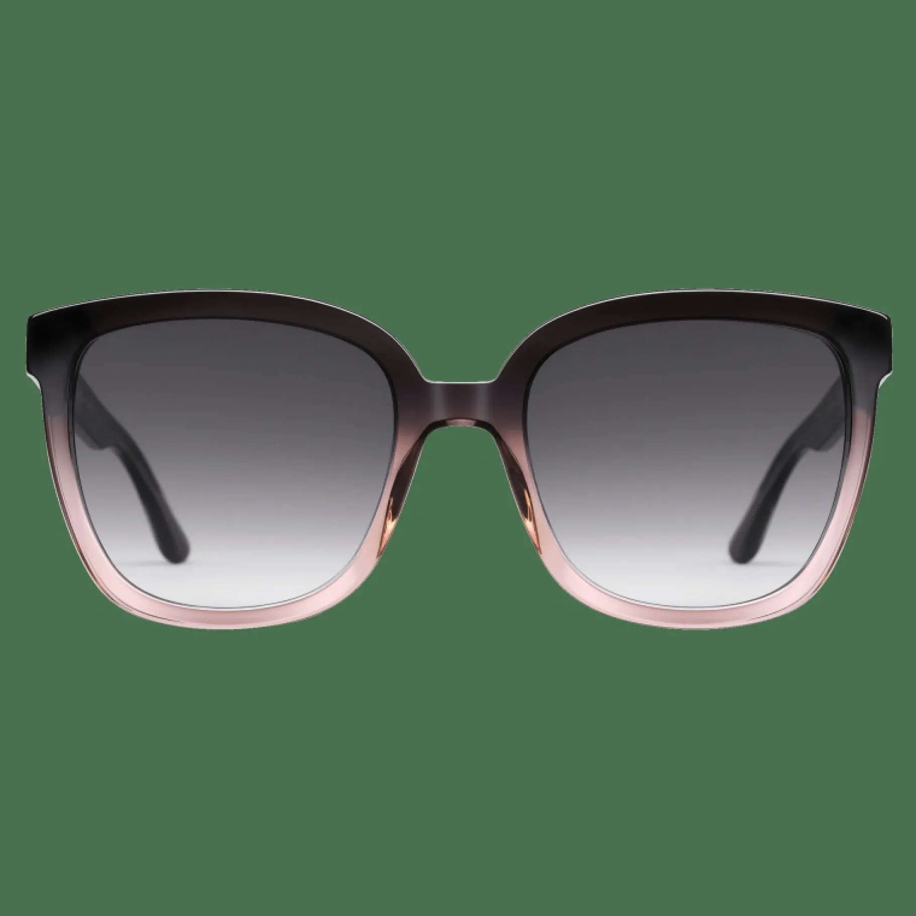 Daniel Wellington Grande Bio-Acetate Coral> Occhiali Da Sole