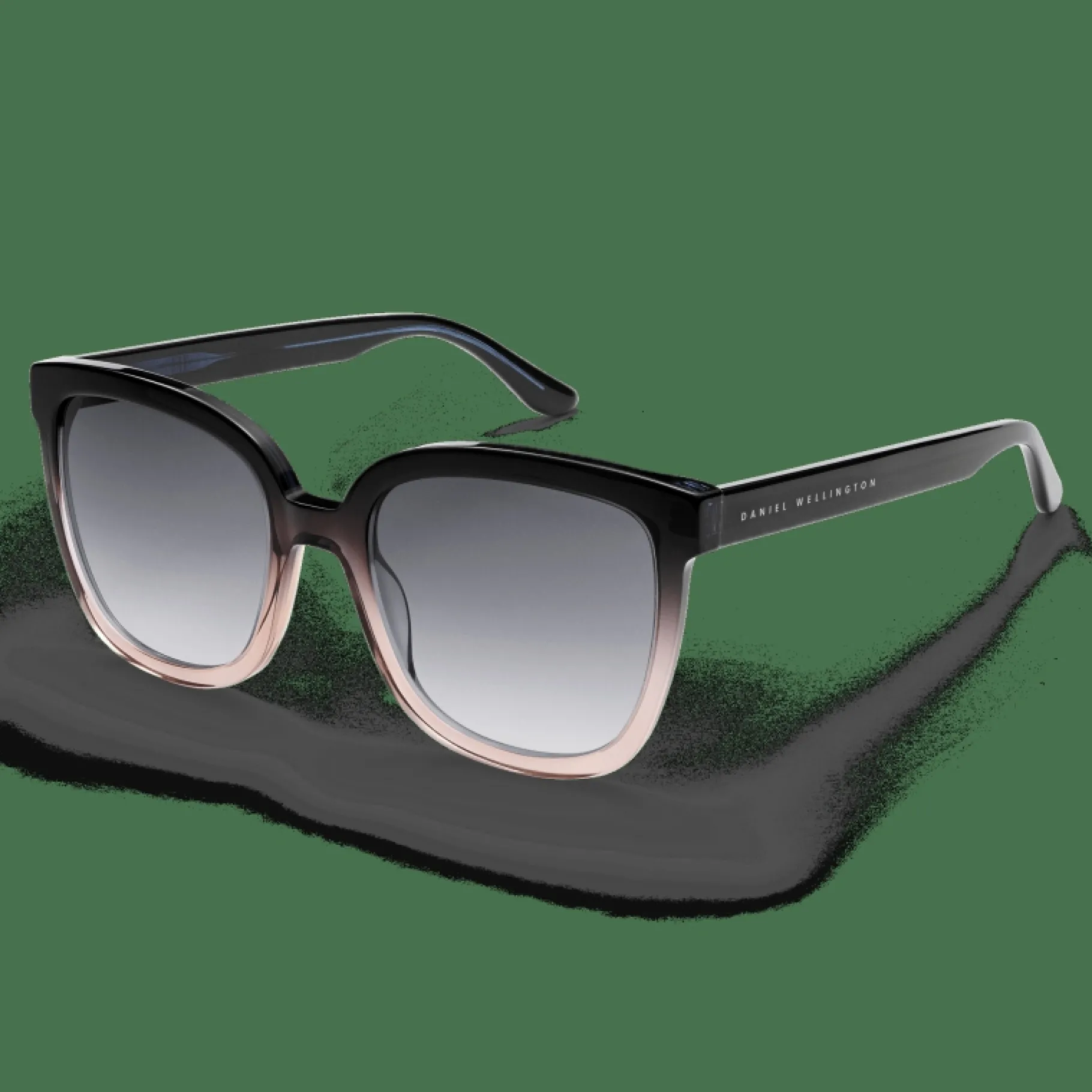 Daniel Wellington Grande Bio-Acetate Coral> Occhiali Da Sole