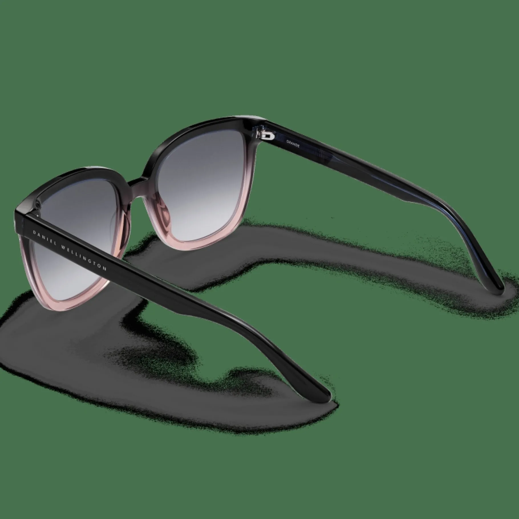 Daniel Wellington Grande Bio-Acetate Coral> Occhiali Da Sole