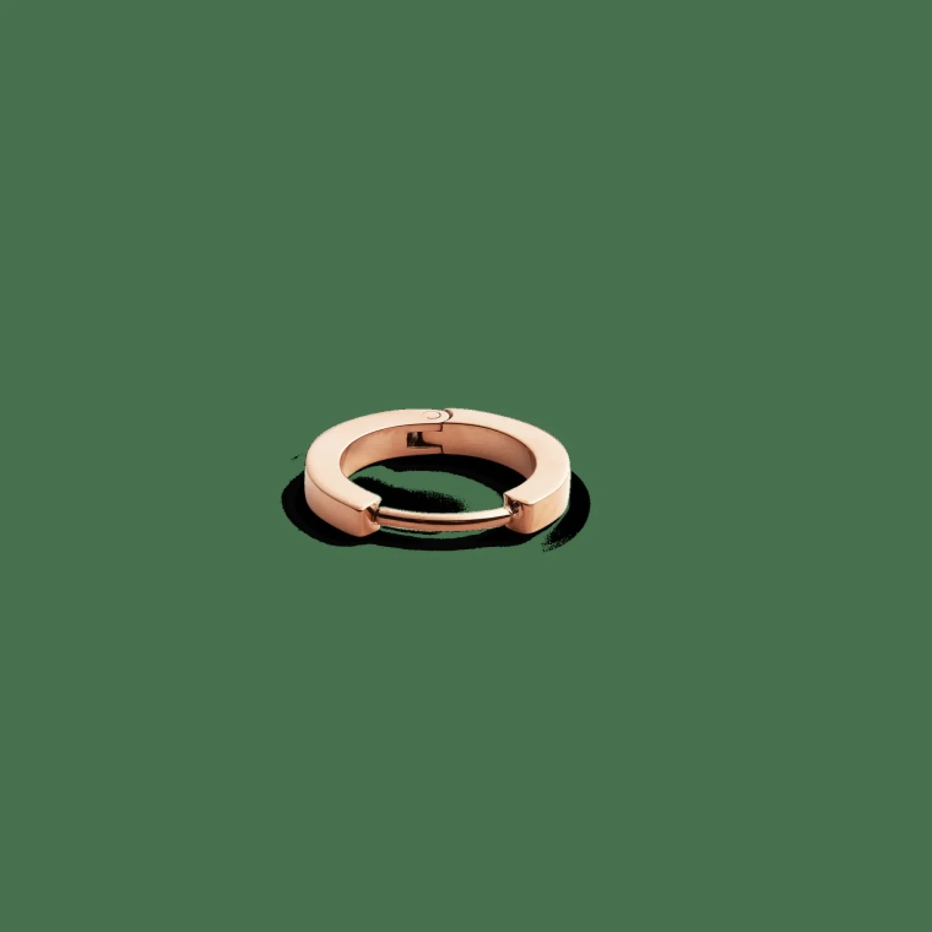 Daniel Wellington Hoop Earring> Orecchini